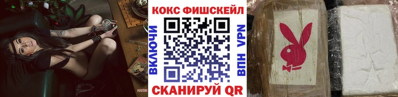 Cocaine Эквадор  Купить где  Дальнереченск 