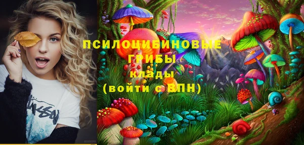 хмурый Вязьма