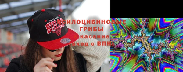 дурь Волоколамск